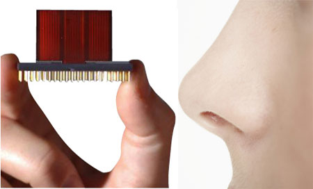 desarollan la nariz electronica Desarrollan nuevos biosensores que distinguen entre olores